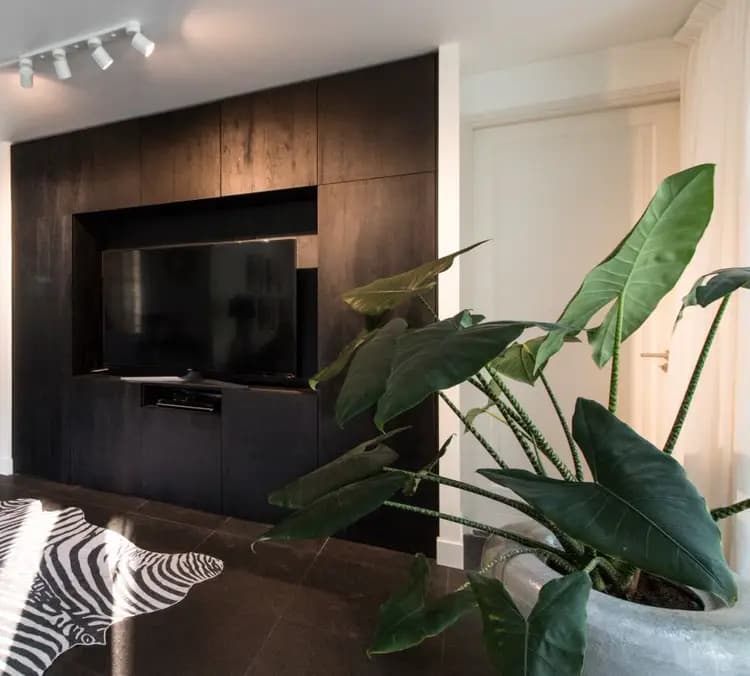 zwarte kast gebeitst eiken met tv