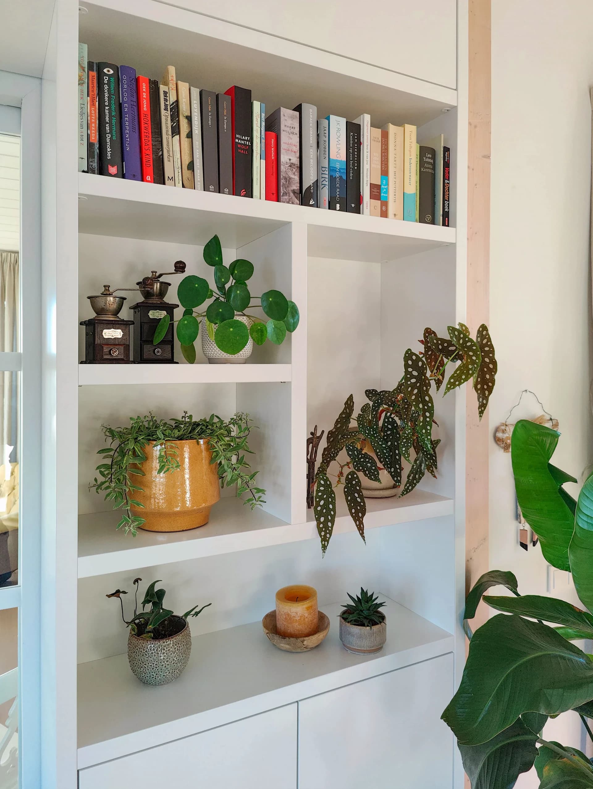Vakkenkast met boeken en persoonlijke accessoires